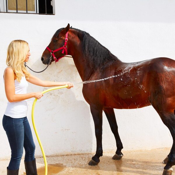 Hose Down a Large Horse